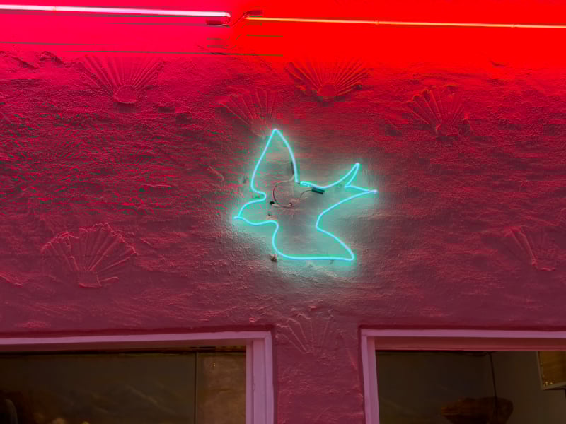 Vacation - Route 66 - Neon Photo