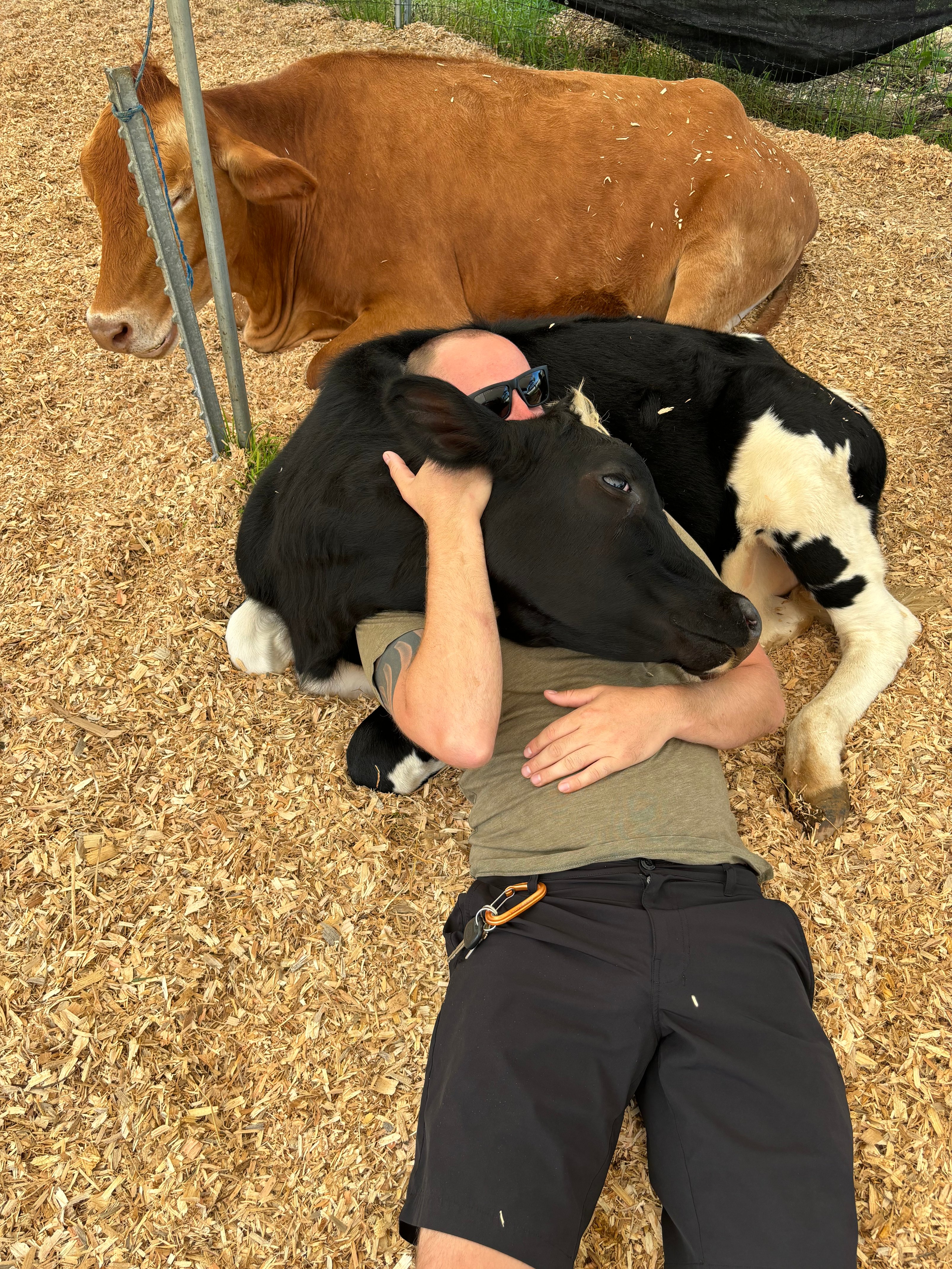 Man cuddling with a cow.