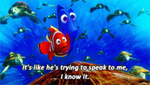 nemo-its-like-hes-trying-to-speak-to-me