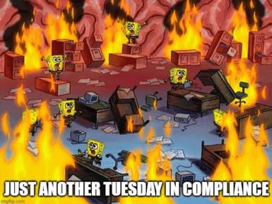 Just another tuesday meme