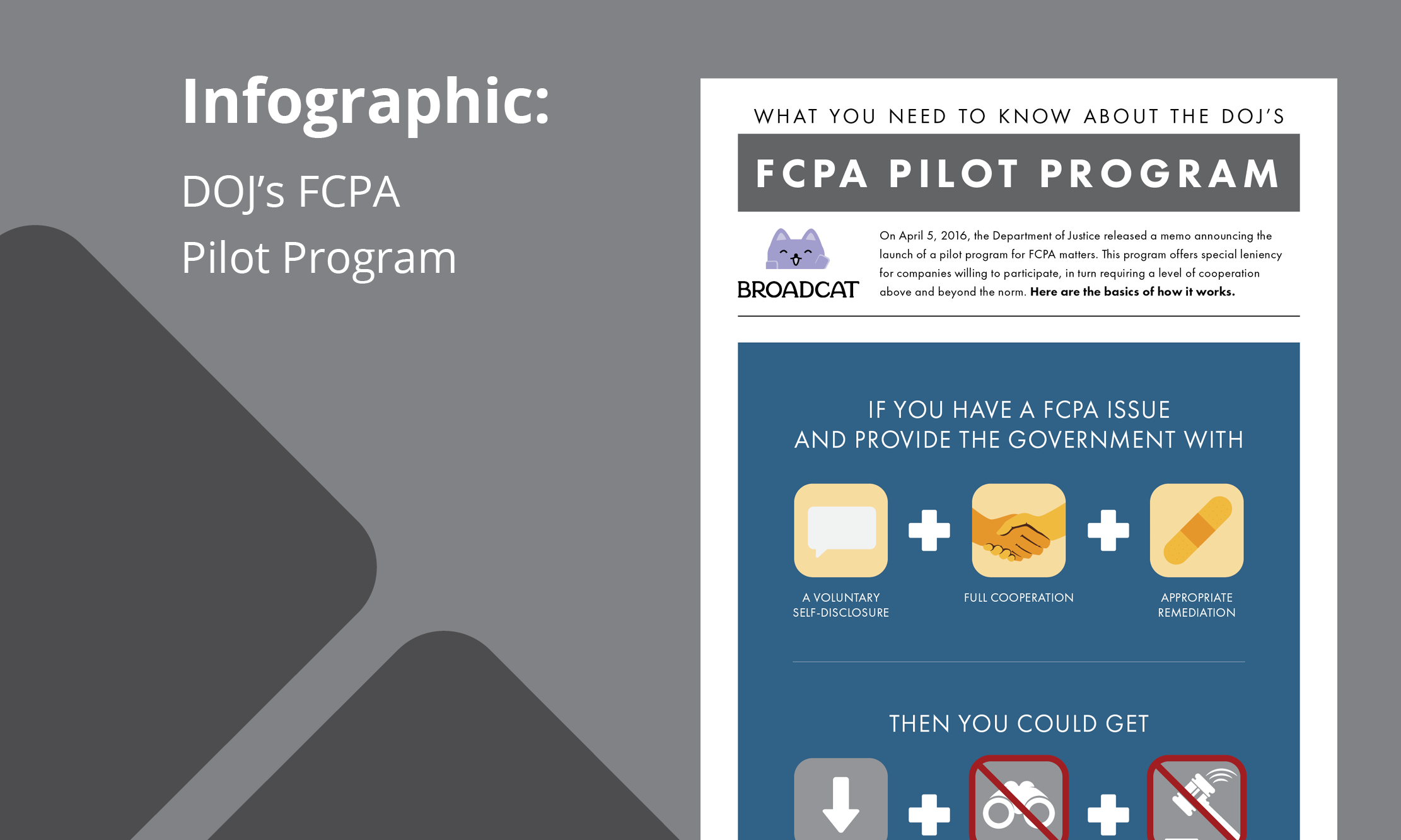 infographic-the-dojs-fcpa-pilot-program-visualized.png